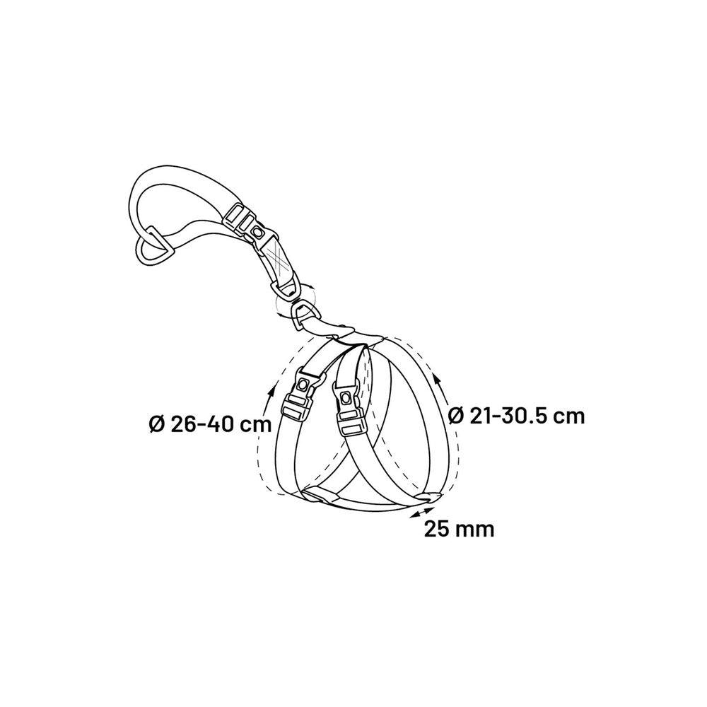 Flamingo Bilsele Xs25