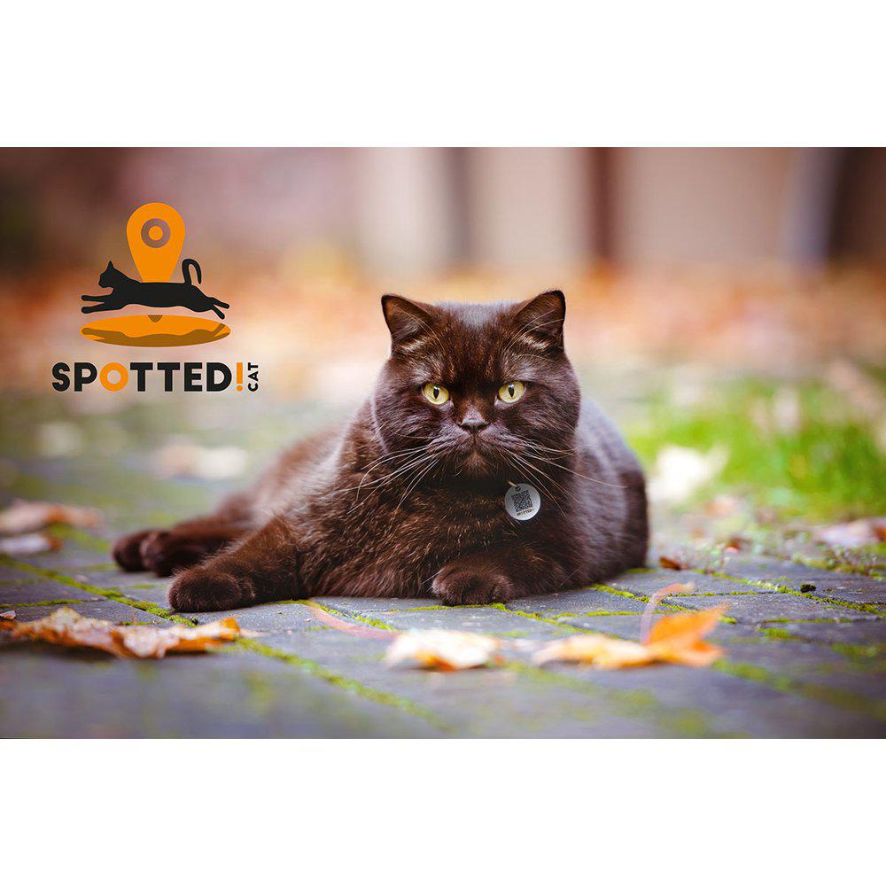 Spotted! Hund/katt Id Tag Small