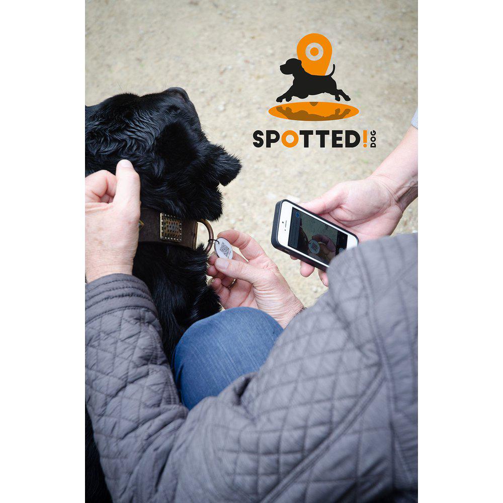 Spotted! Hund Id Tag Medium