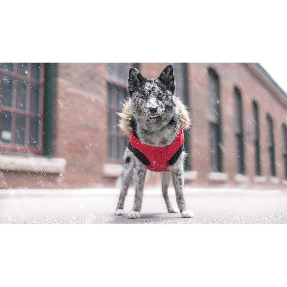 Canada Pooch North Pole Parka Röd 55cm 22