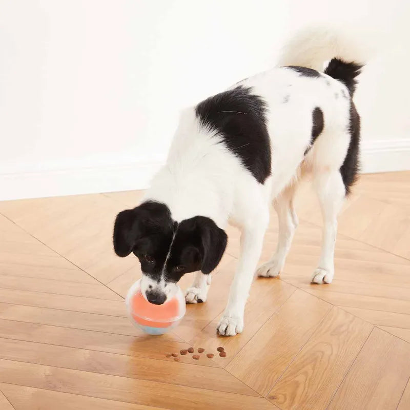 Oh Dog Rumble Puzzle Orange