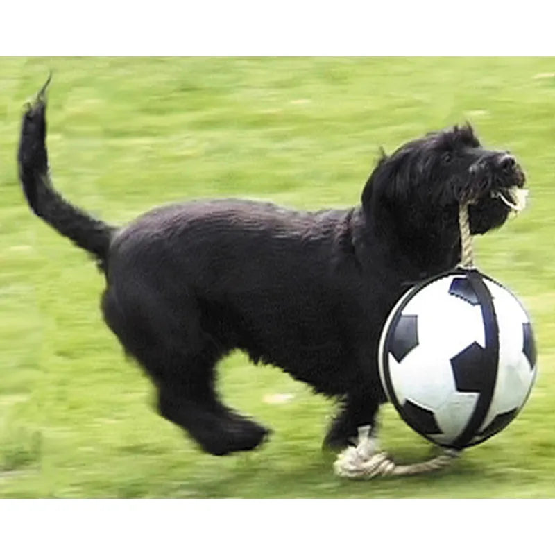 Actionboll Fotboll S 19cm