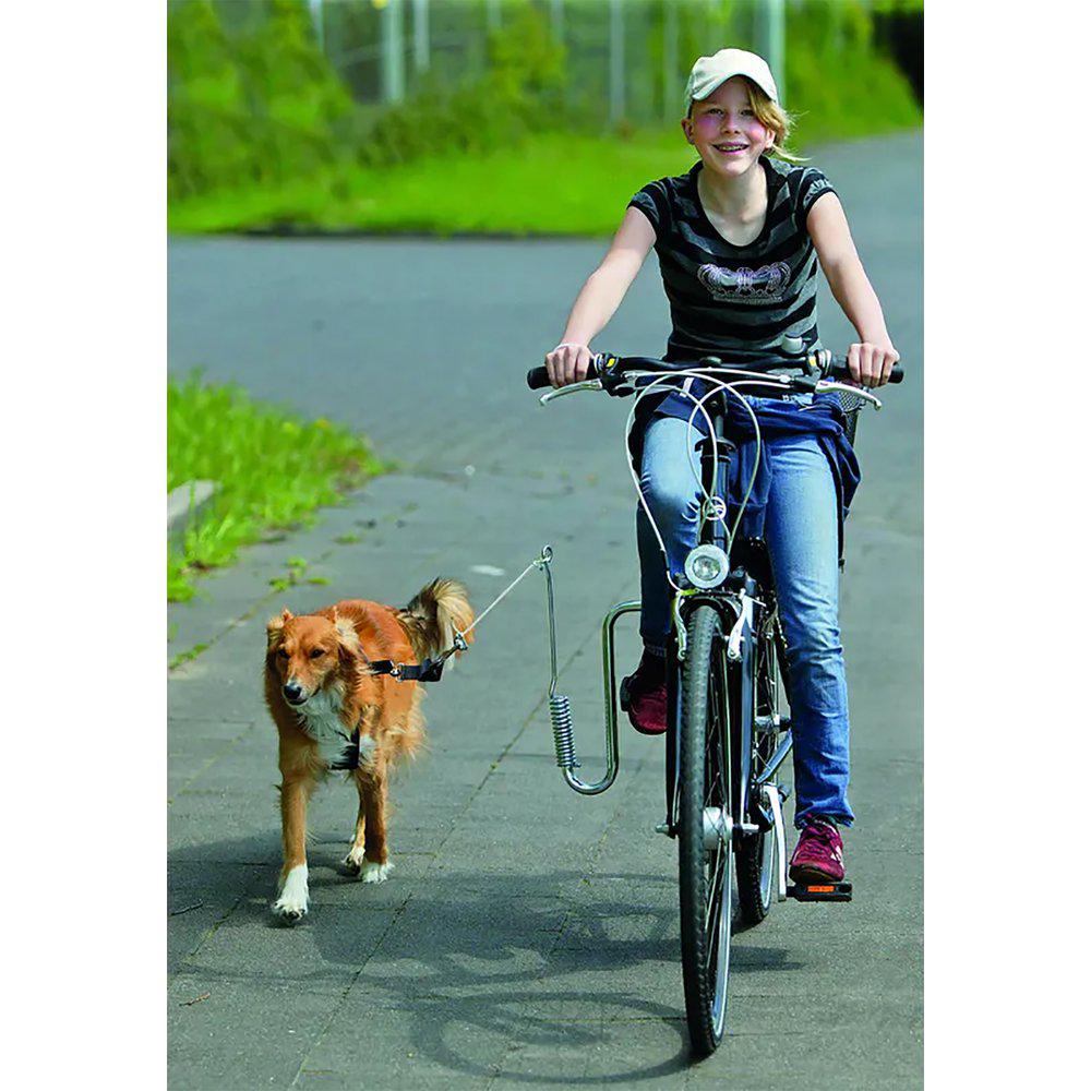 Doggy Guide Bicycleleading Device