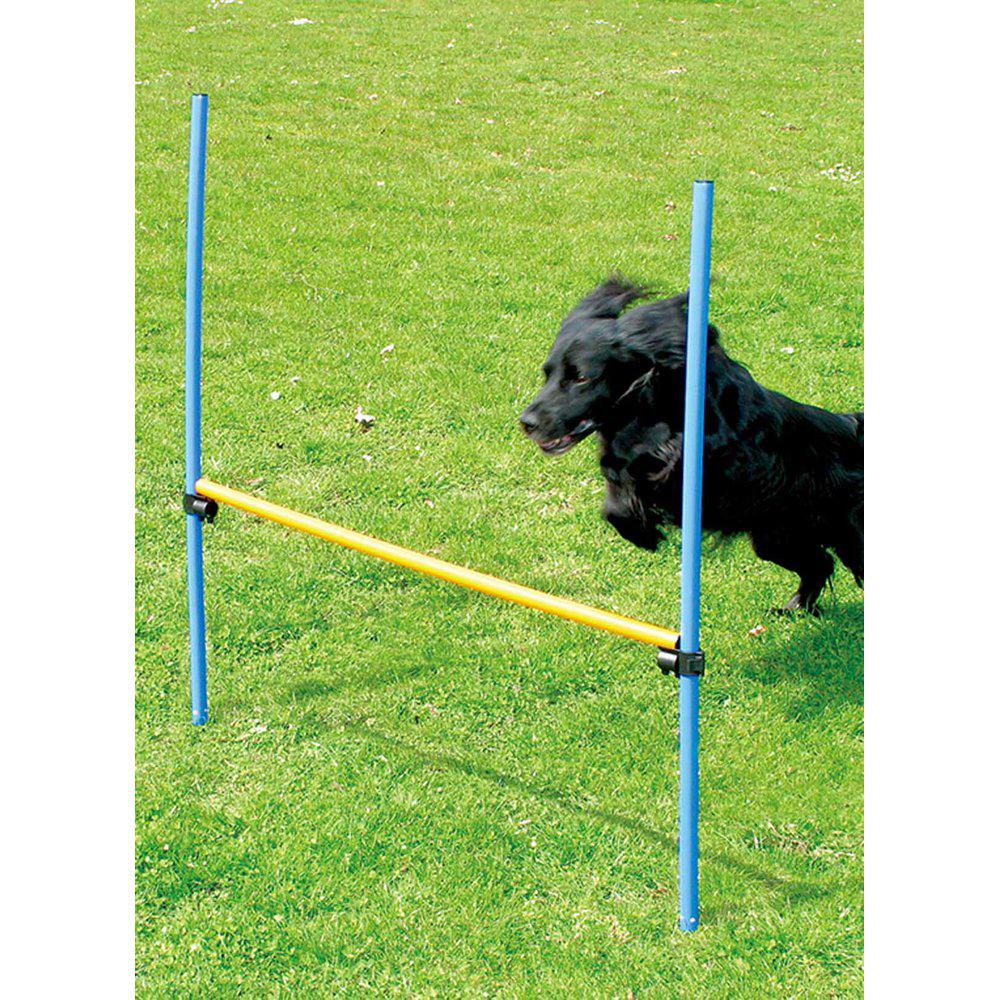 Agility Hinder Höjd116cm