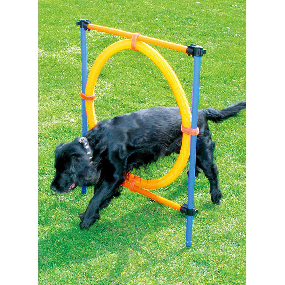 Agility Hinder Med Ring Ø55cm