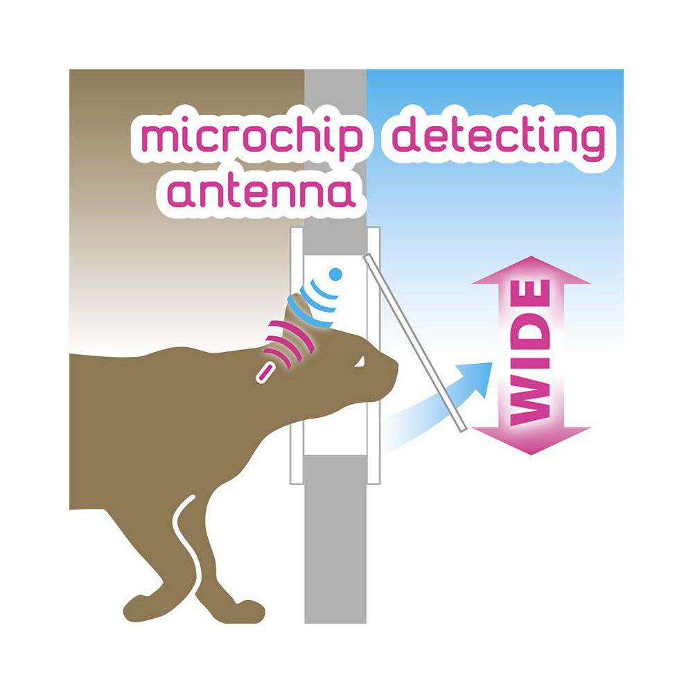 Kattdörr Swing Microchip Brun