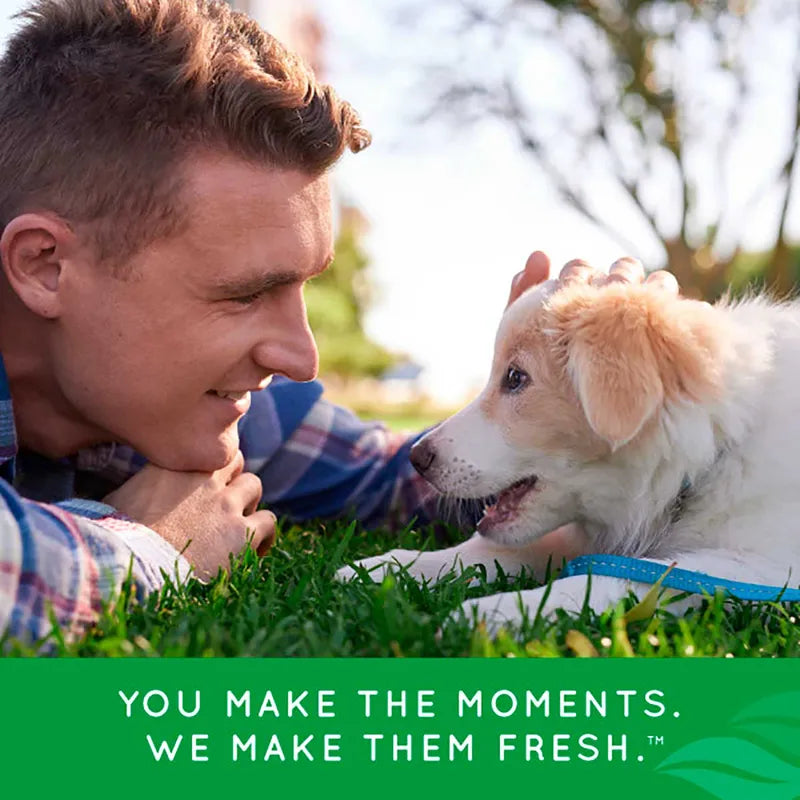 Tropiclean Clean Teeth Oral Care Gel For Puppies 59ml