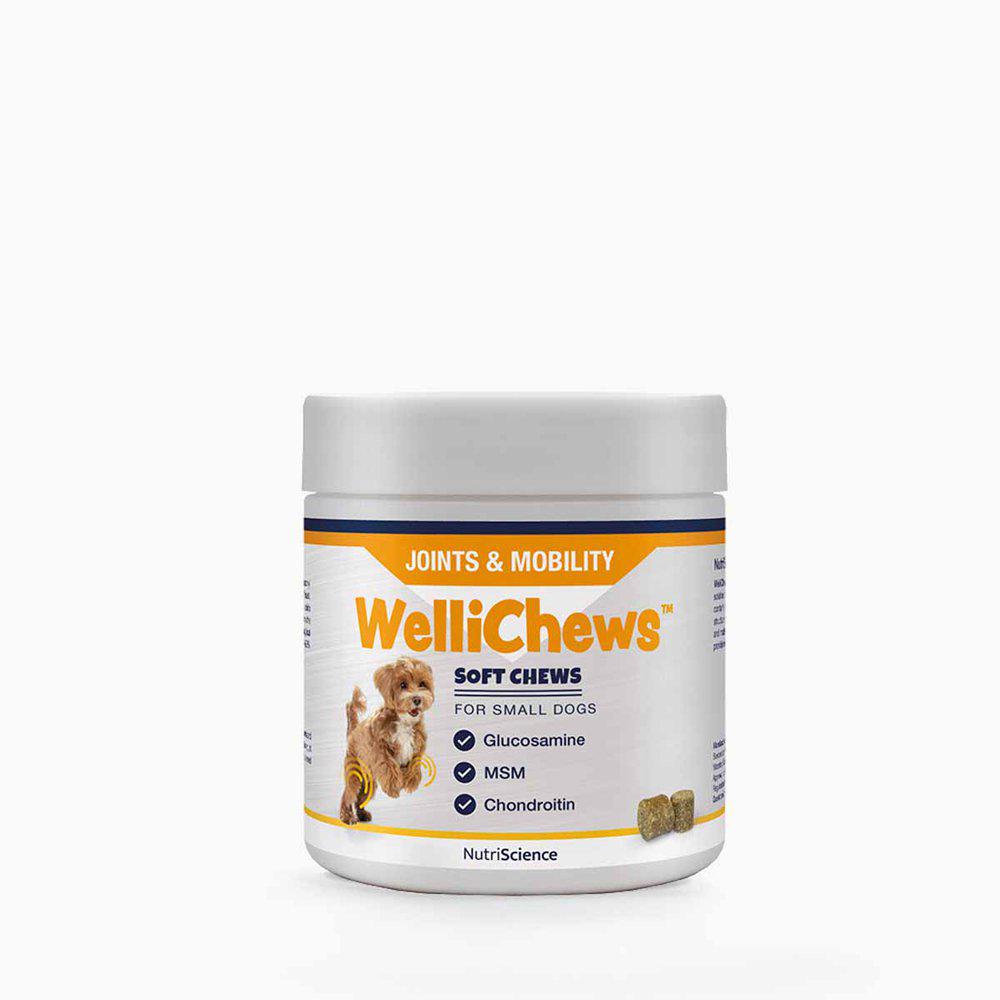 Wellichews Joint Small Dog/cat Se/fi120st