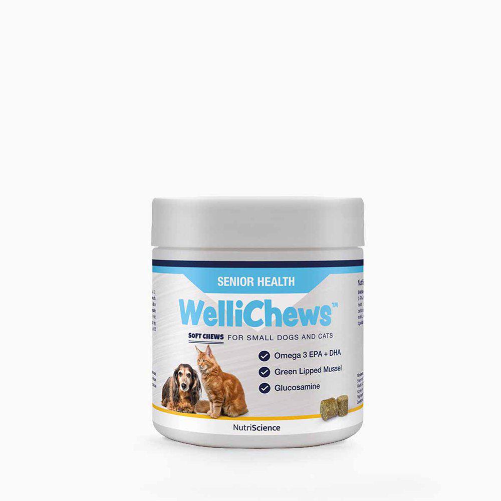 Wellichews Senior Small Dog/cat Se/fi60st