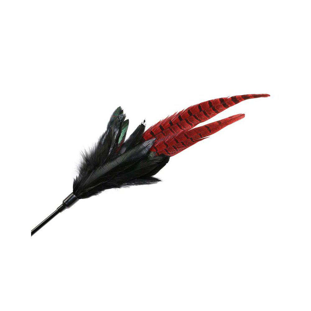 Kattvippa Mystic Long Feather 48cm