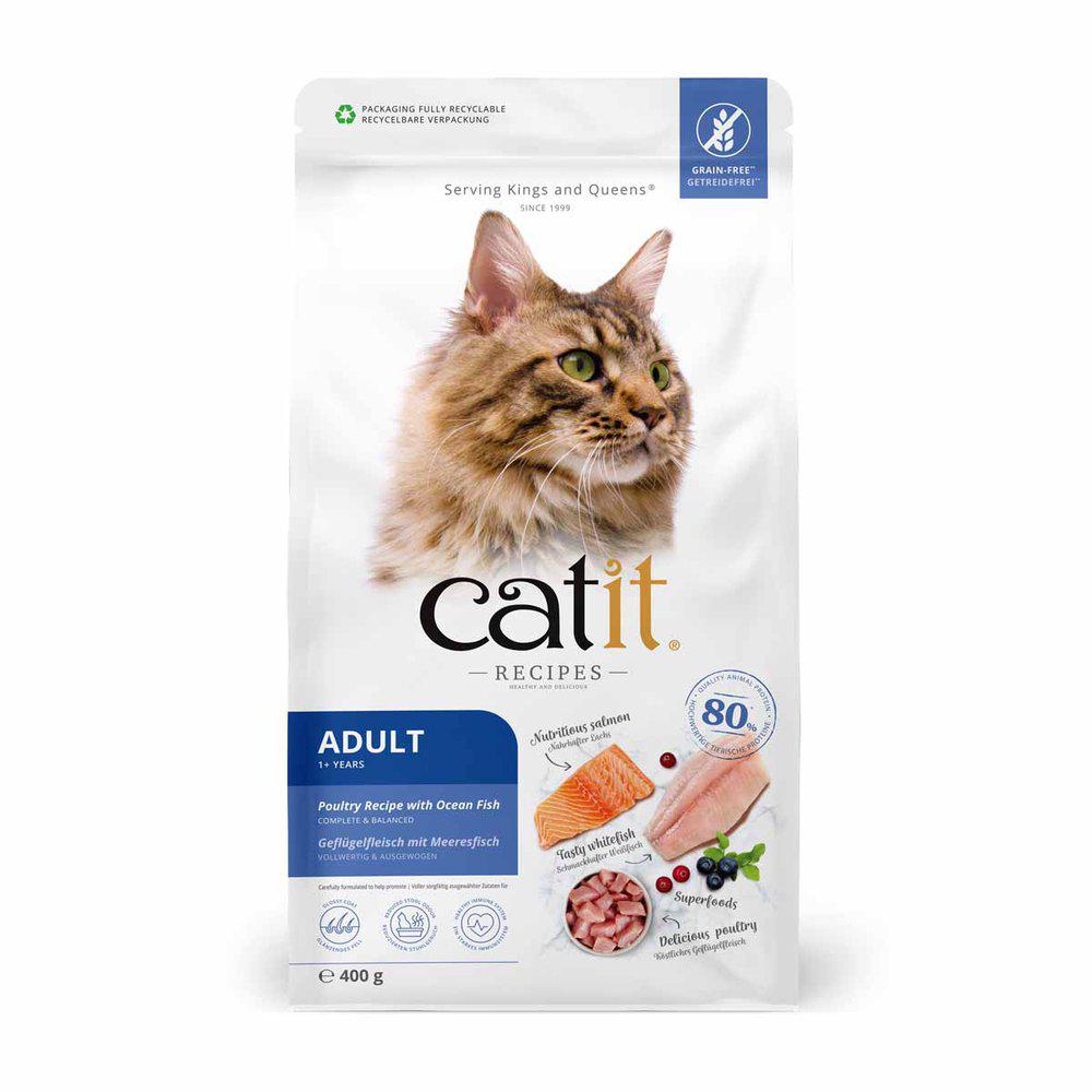 Catit Recipies Dry Adult Fish 400g