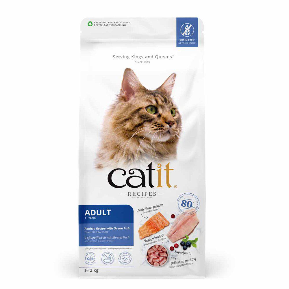 Catit Recipies Dry Adult Fish 2kg