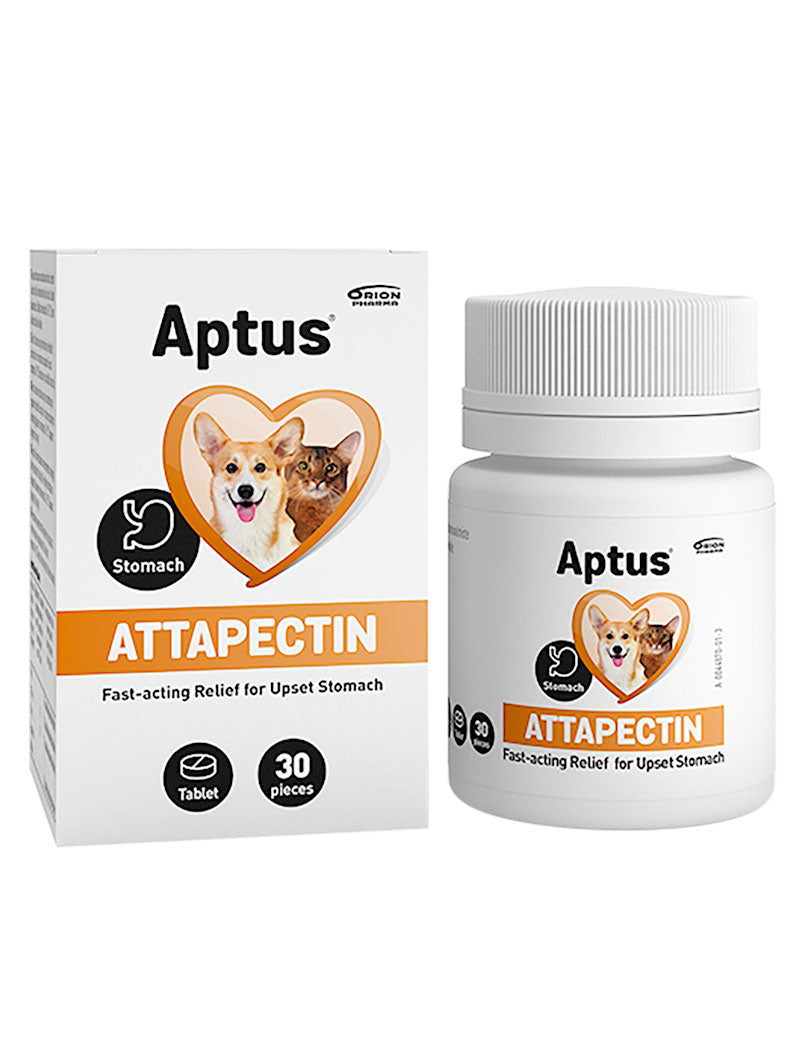 Aptus Bucadog Tandgel 70g